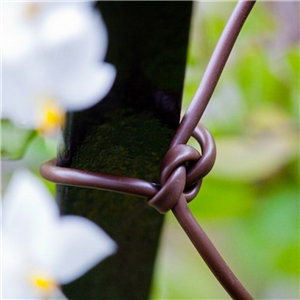 Flexi Tie Brown 6mm x 33m